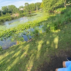 Meet your Posher, Mayra